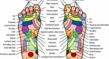 Reflexology case study