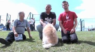 Family History in Knowle West