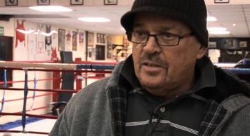 Different Types of Boxer