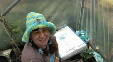 How to Get Rid of Slugs